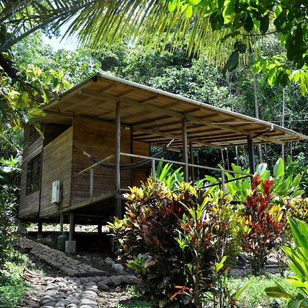 Huella Verde Rainforest Lodge Canelos Экстерьер фото