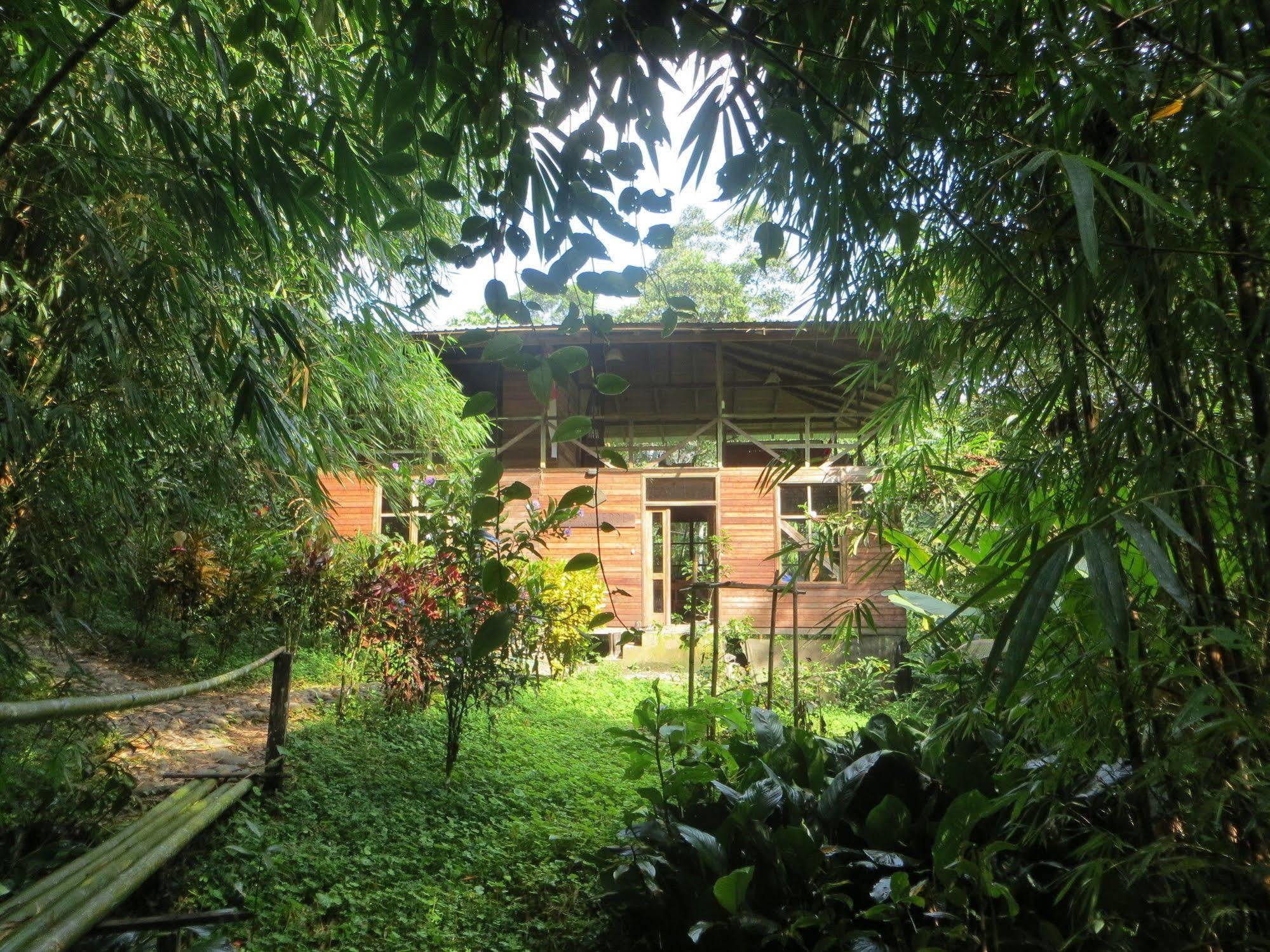 Huella Verde Rainforest Lodge Canelos Экстерьер фото