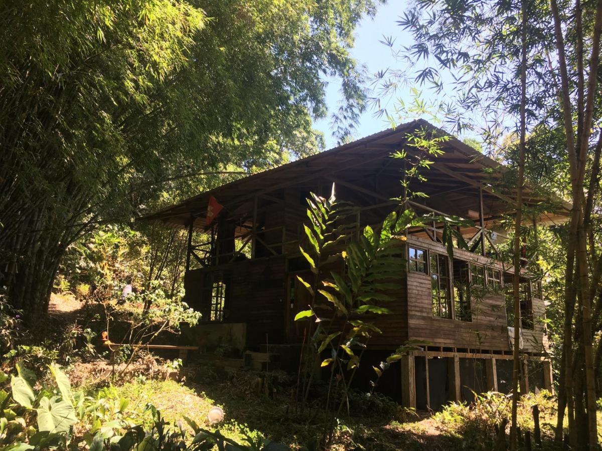 Huella Verde Rainforest Lodge Canelos Экстерьер фото